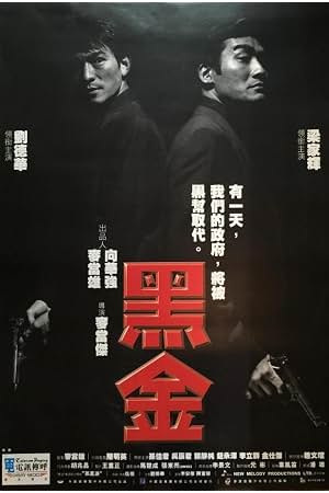 黑金 封面