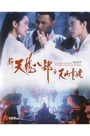 新天龙八部之天山童姥 封面